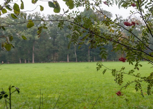 images/accommodations/gallerys/landgoed-het-clooster/clooster-gallery-06.jpg images/accommodations/gallerys/landgoed-het-clooster/clooster-gallery-06.jpg