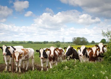 images/sliderfooter/micarousel/groepen_achterhoek_g6.jpg