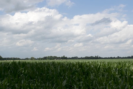 groepsaccommodatie doetinchem