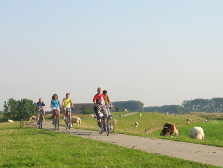 vakantieboerderij achterhoek